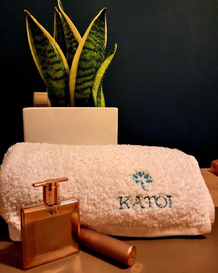 Katoi Traditional House Exo Khora Eksteriør billede